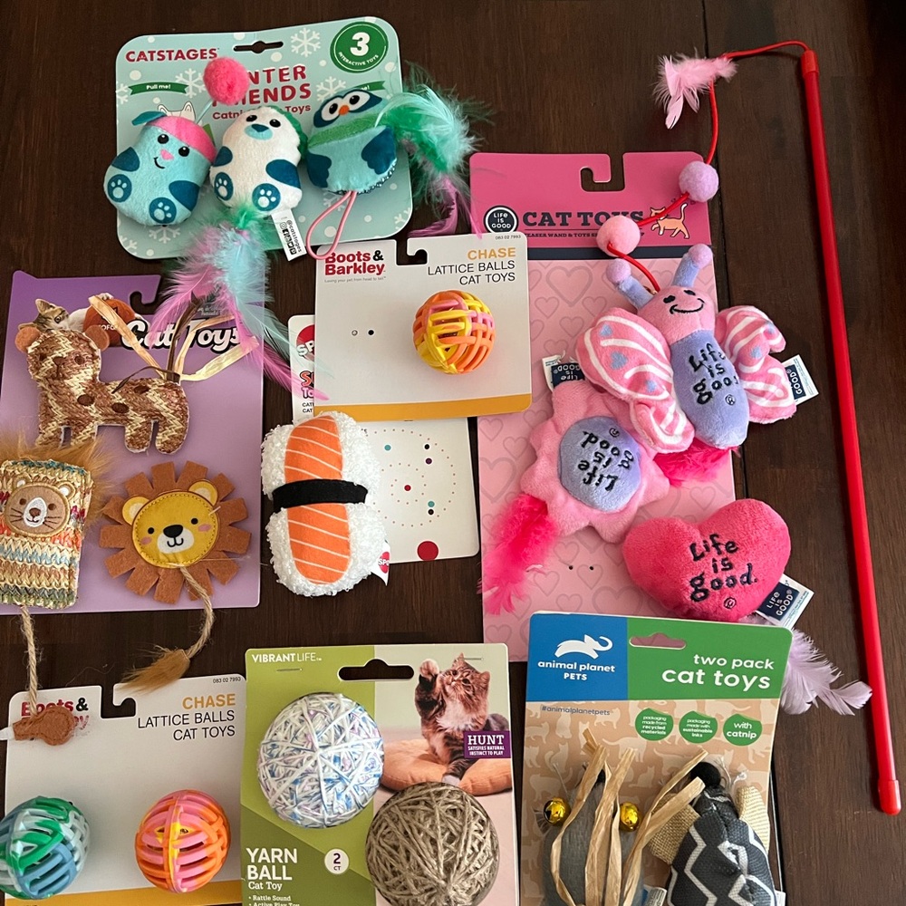 Assorted Cat Toys Bundle